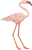 Standing Pink Flamingo Clip Art